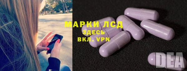 СК Вязьма