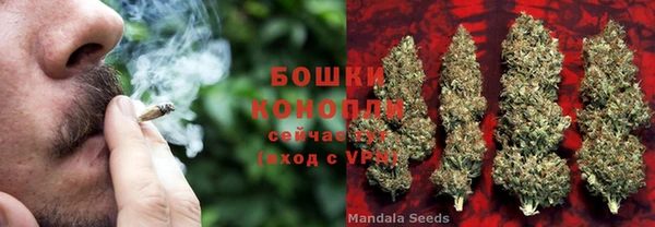 СК Вязьма