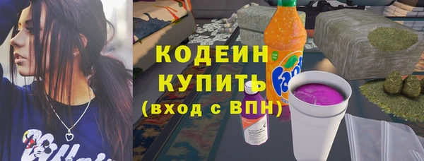 гашик Тихвин