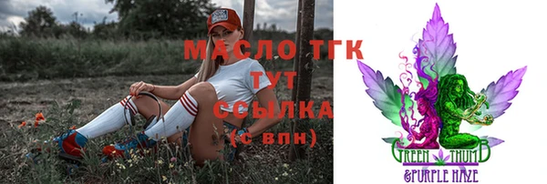 гашик Тихвин