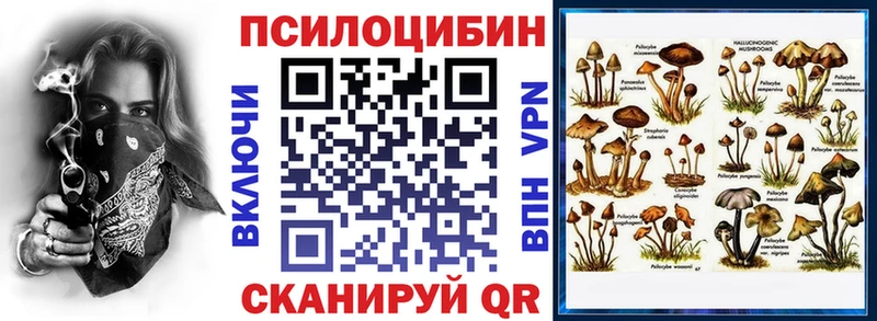 Галлюциногенные грибы Psilocybine cubensis  что такое наркотик  Снежинск 